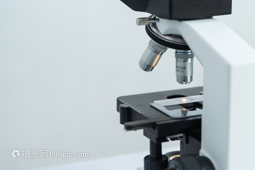 微观世界之窗 探索显微镜的科学魅力
